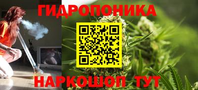 тгк Гусь-Хрустальный