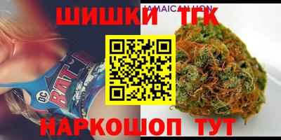 СК Гатчина