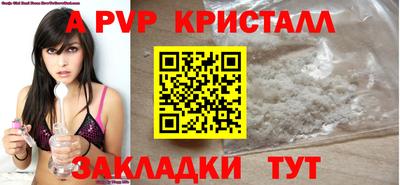 СК Гатчина