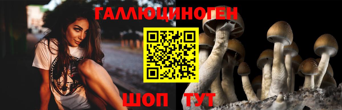Галлюциногенные грибы ЛСД  Галлюциногенные грибы Psilocybine cubensis  Вход с VPN  Кубинка 