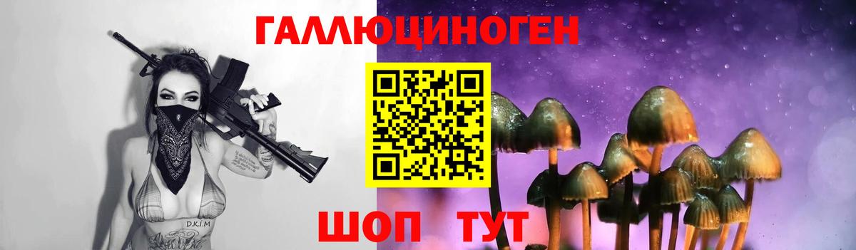 Галлюциногенные грибы Cubensis Кубинка